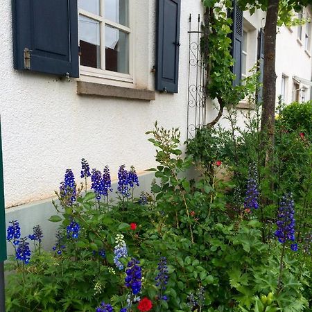 Seelig'S Weinsheim  Екстериор снимка
